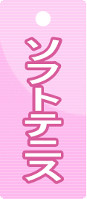 ソフトテニスゼッケン